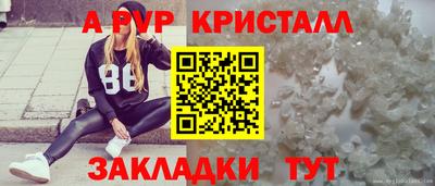 spice Новозыбков