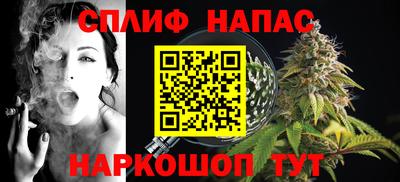 spice Новозыбков