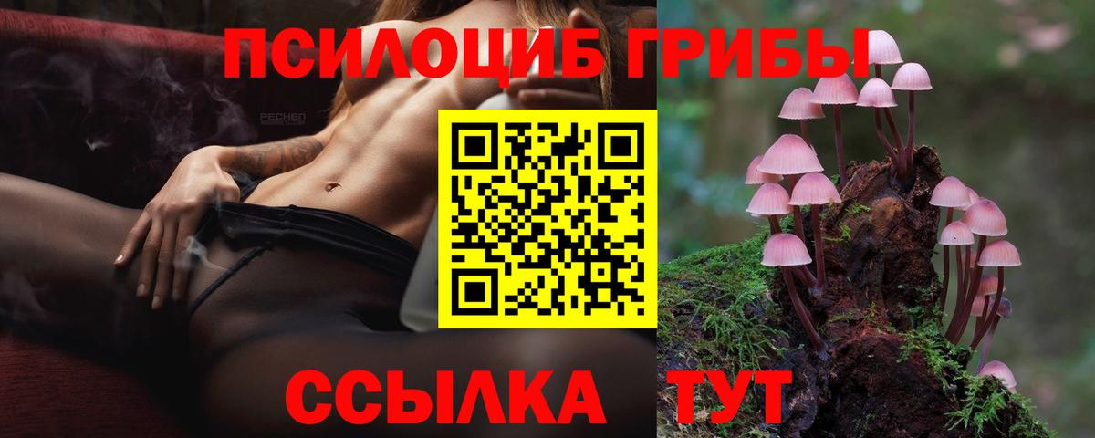 Ростов Великий  Псилоцибиновые грибы прущие грибы  Вход с VPN  Псилоцибиновые грибы GOLDEN TEACHER 